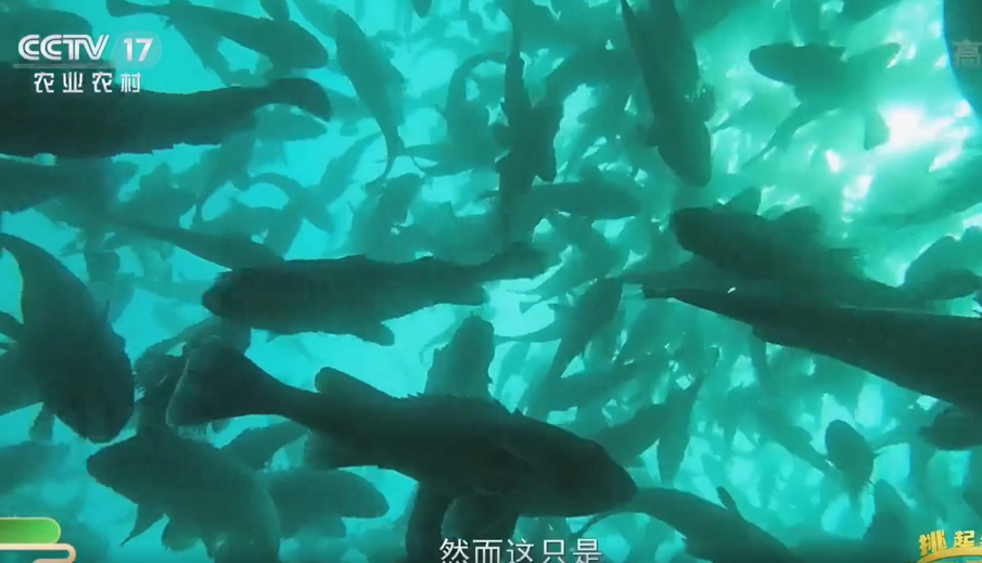 挑起我们的金扁担2022.10.10