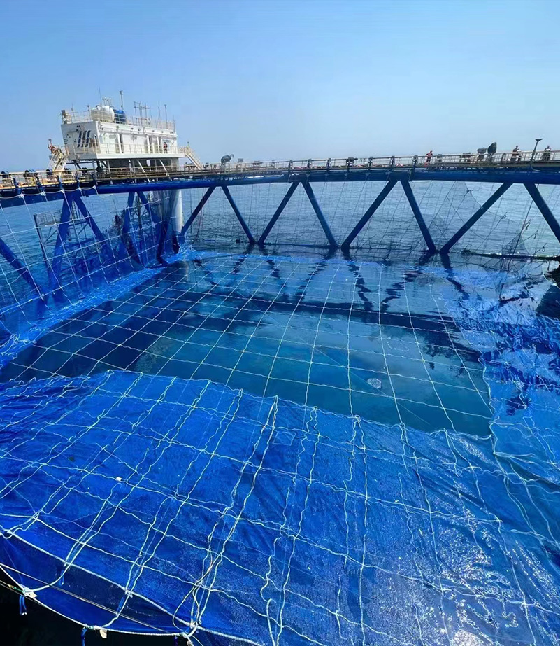 网衣系统方案设计