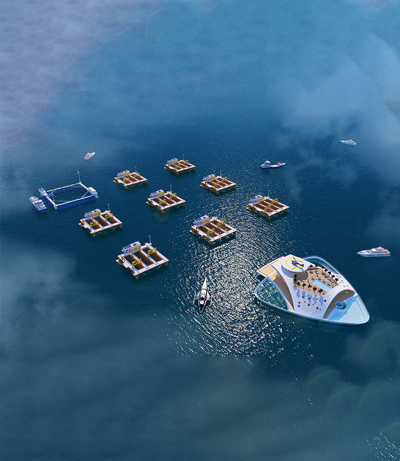 人工渔场规划设计
